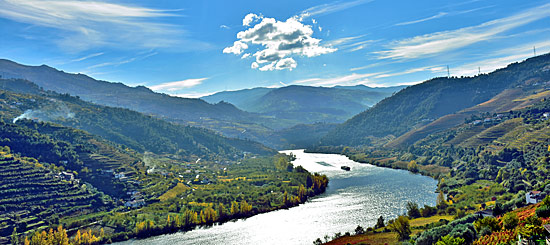 Portwein anbau portugal